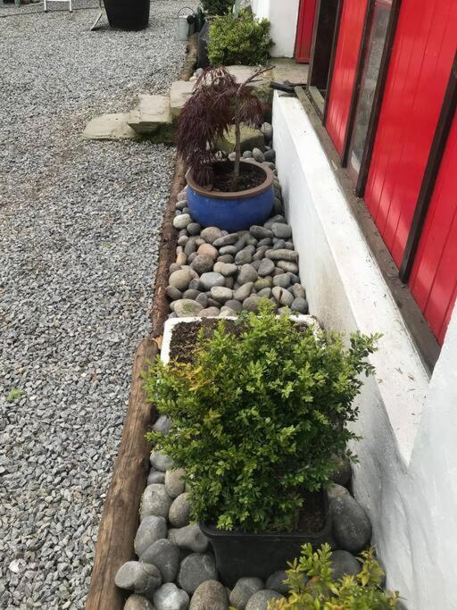 Stone Wall Cottage Castlewellan Exteriör bild